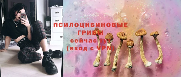 мяу мяу мука Армянск