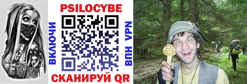 купить наркотики цена  Давлеканово  Галлюциногенные грибы Psilocybe 